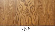 дуб.JPG
